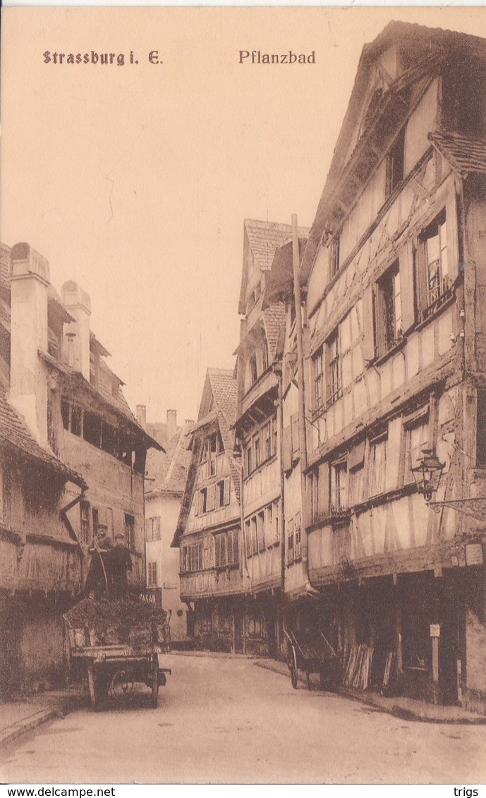 Straßburg i. E. - Pflanzbad