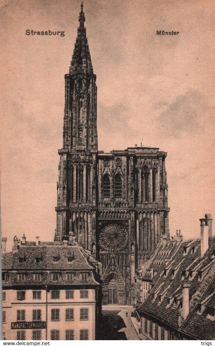 Straßburg - Münster