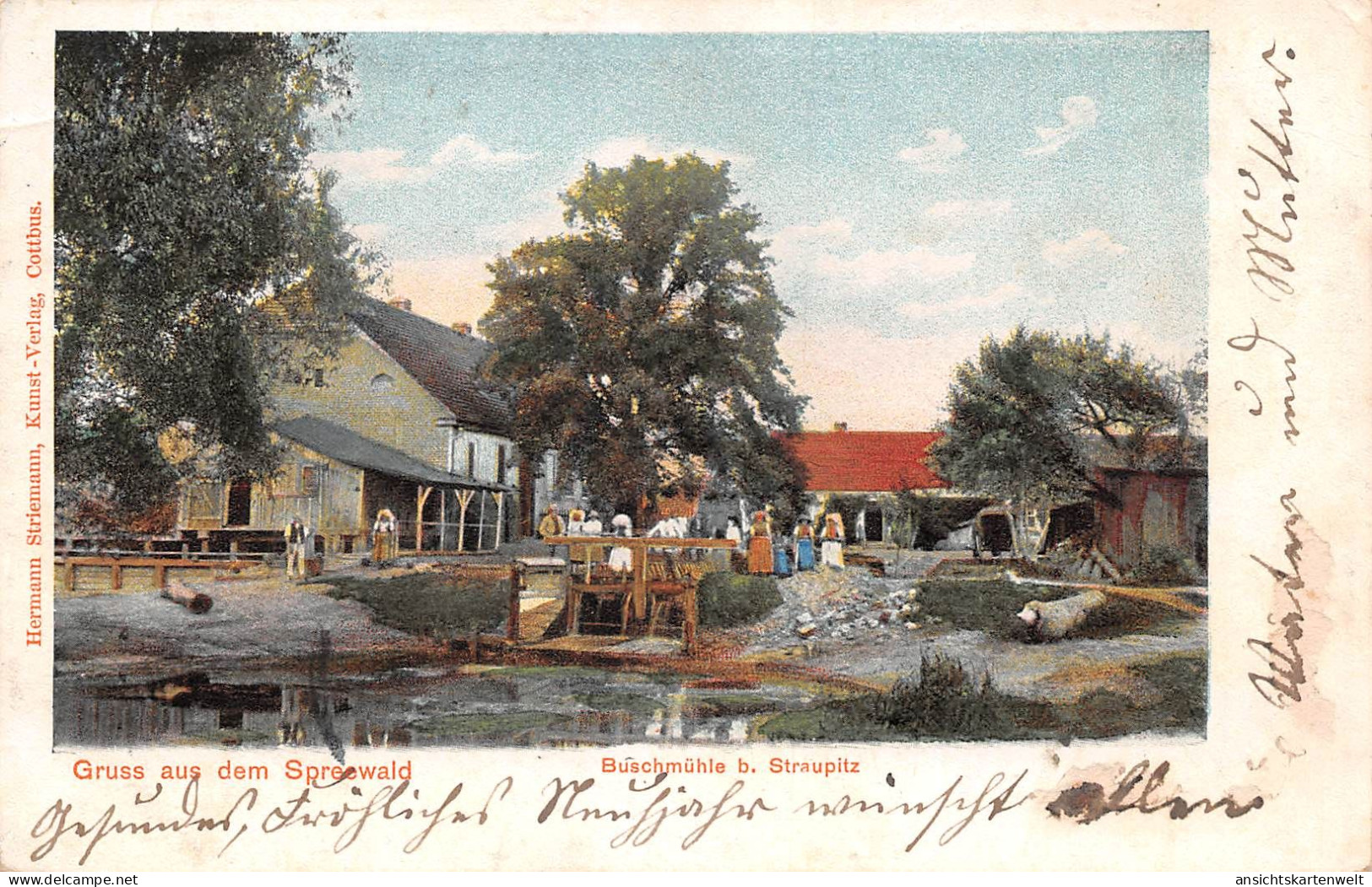 Straupitz Buschmühle gl1903 #187.866