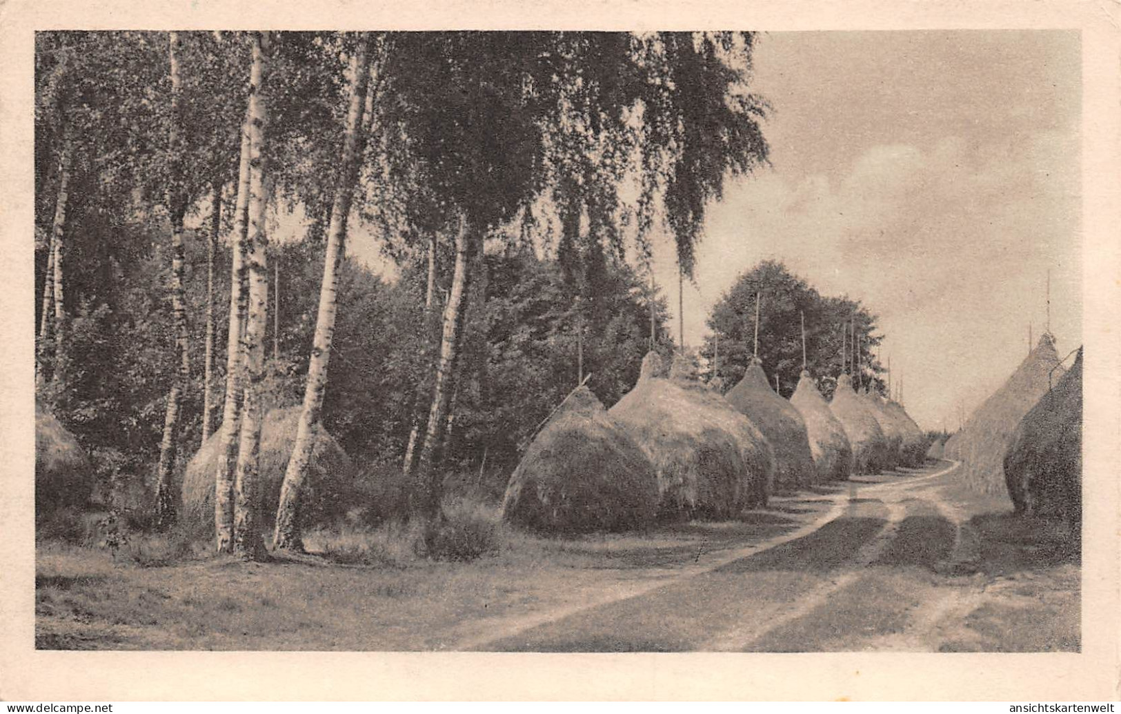 Straupitz Heuschober ngl #187.872