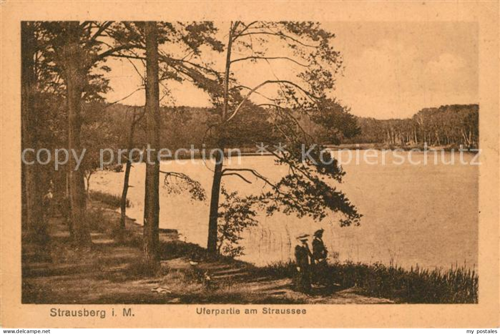 Strausberg Brandenburg Uferpartie Straussee