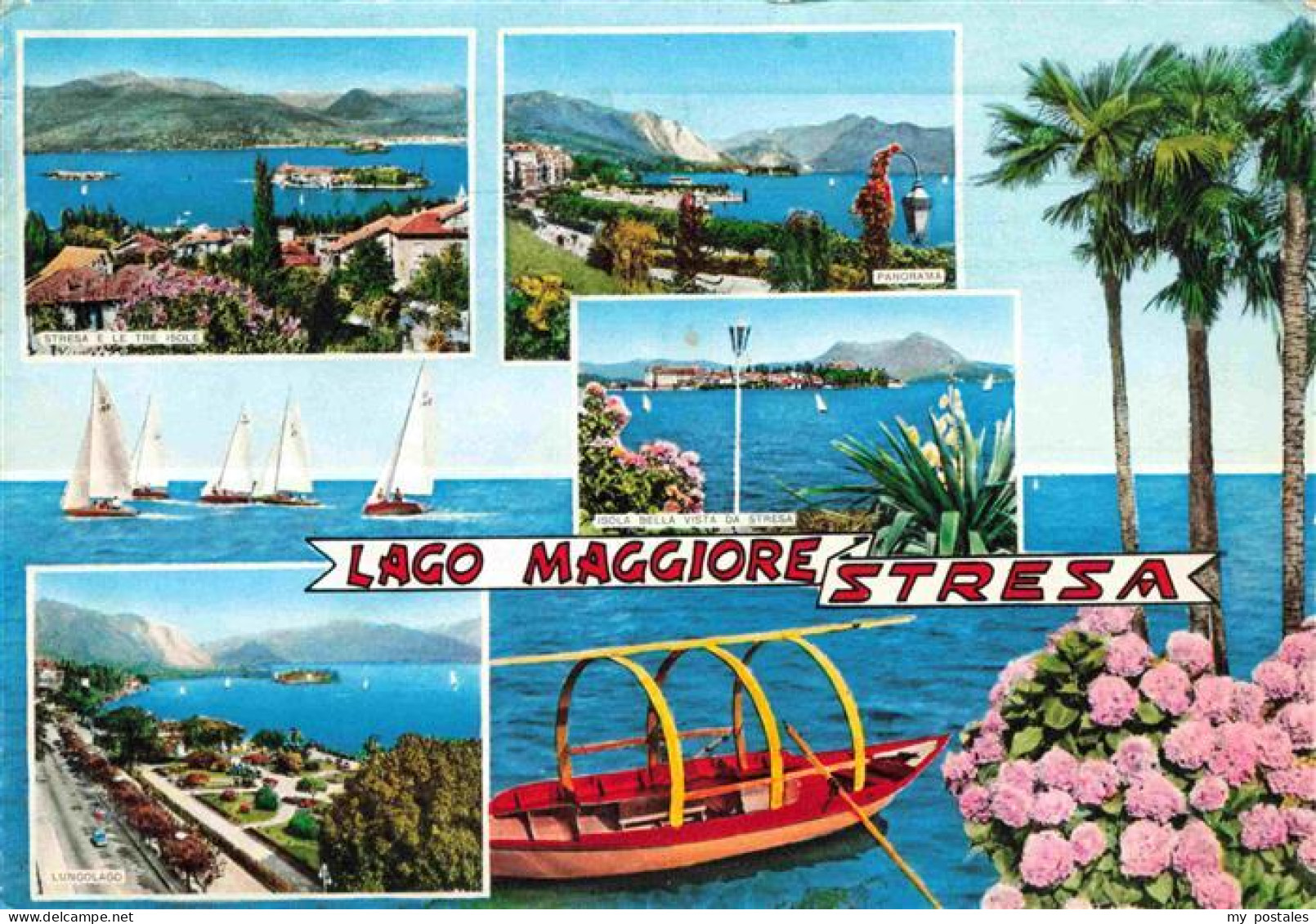 Stresa Borromeo Lago Maggiore IT Lago-Maggiore Isole Segelboote Panorama Lungola