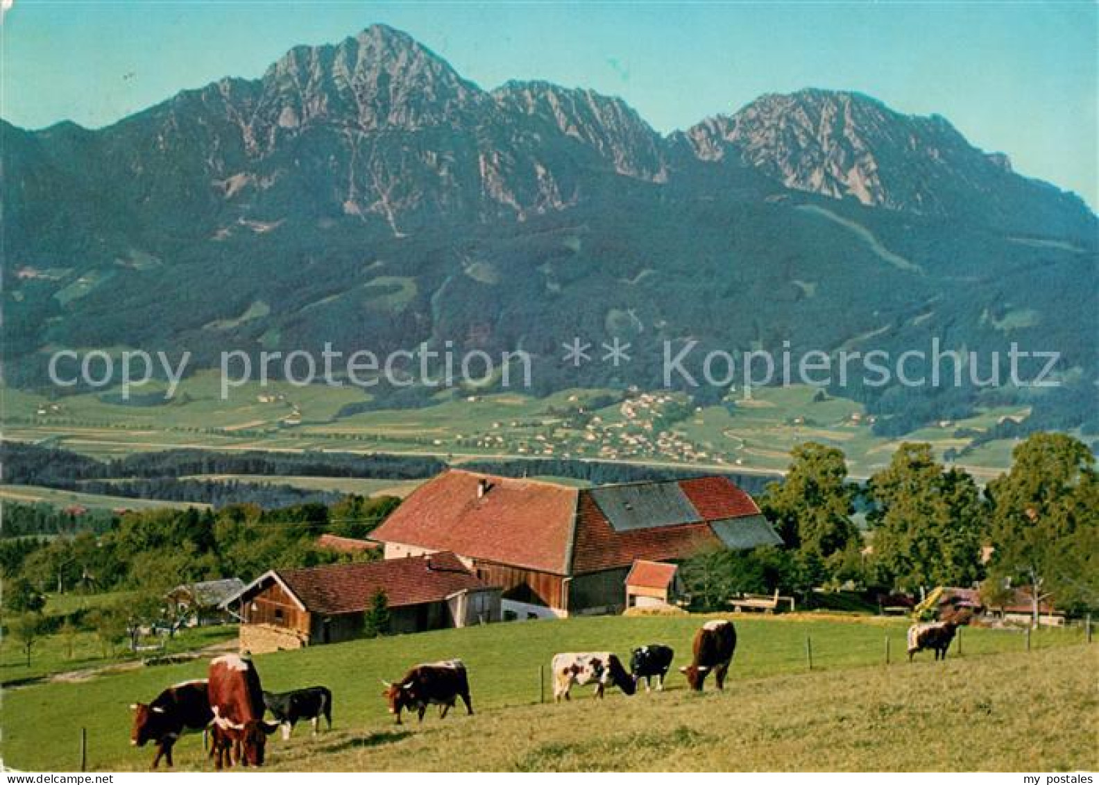 Strobl Alm am Hoegel Hochstaufen Zwiesel