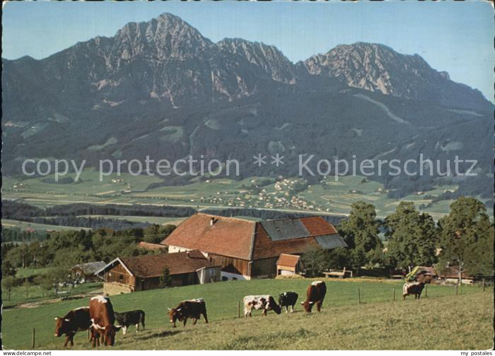 Strobl Alm am Hoegel mit Hochstaufen Zwiesel
