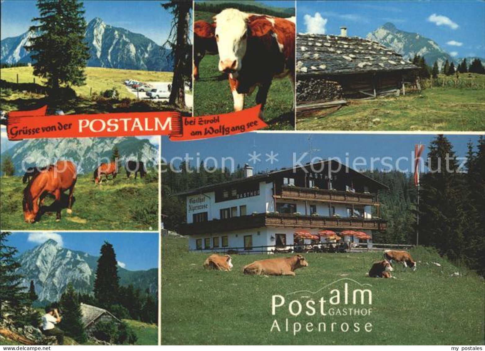 Strobl Postalm Gasthof Alpenrose