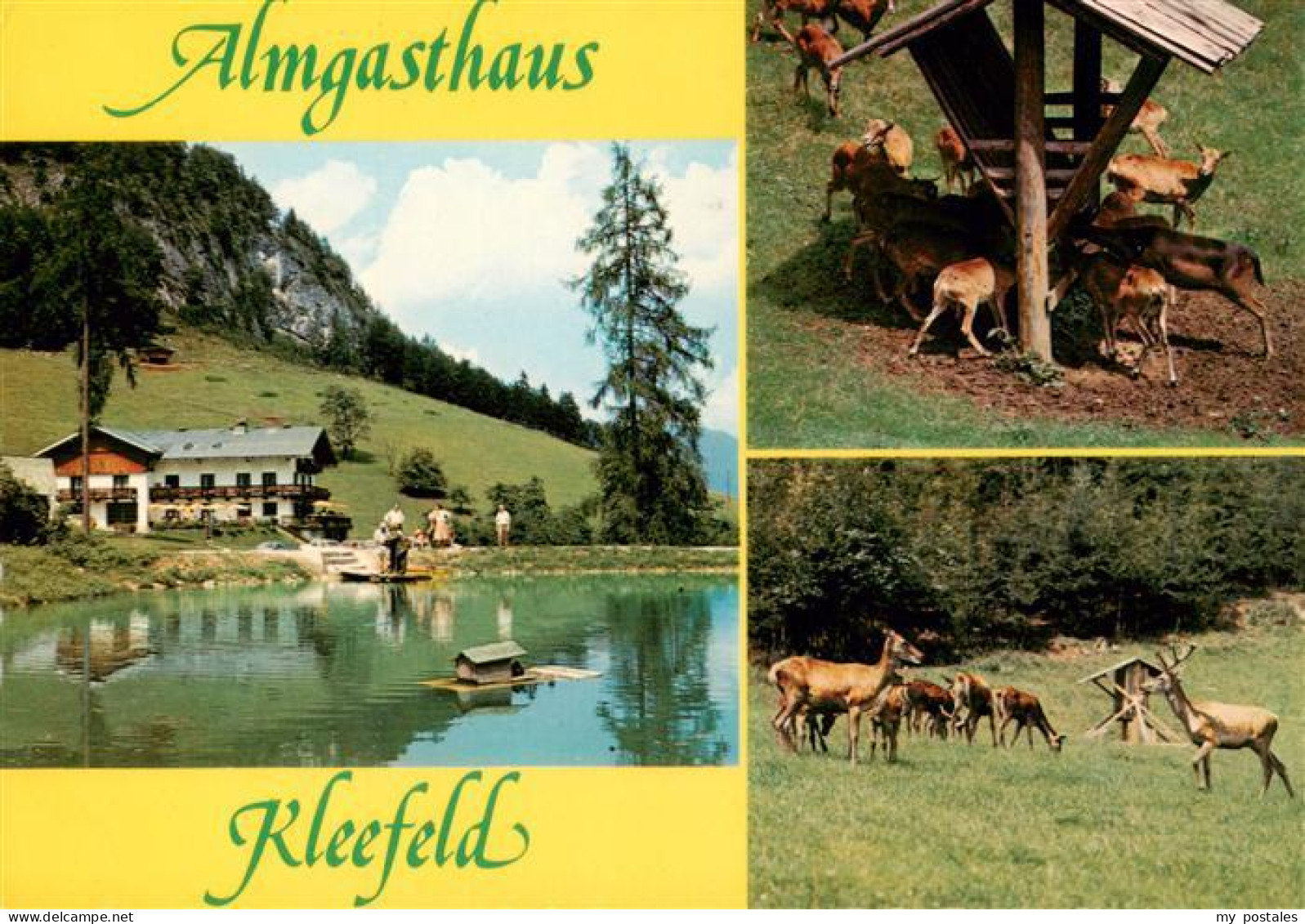 Strobl Wolfgangsee AT Almgasthaus Kleefeld Wildgehege