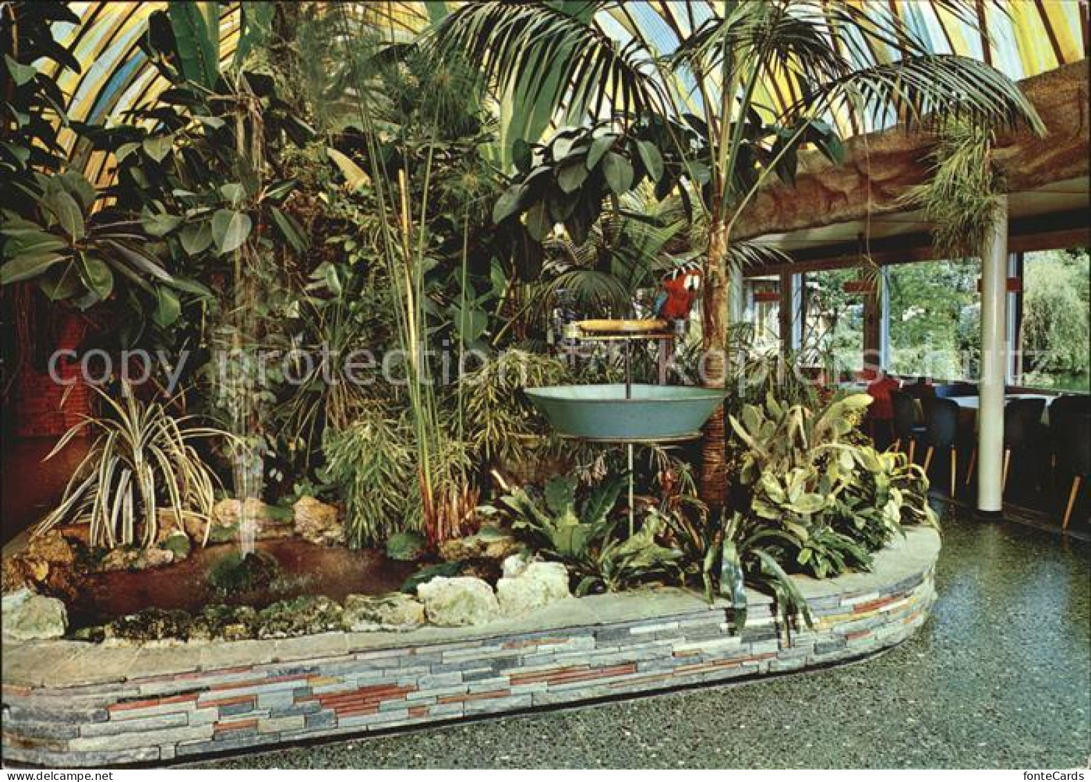 Studen BE Cafe Florida Palmen