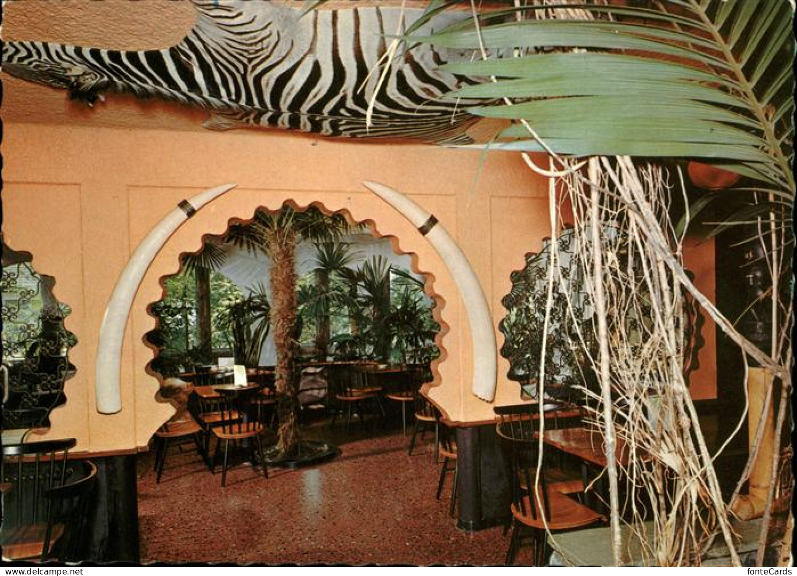 Studen BE Tropenpflanzen Cafe Florida Studen Biel