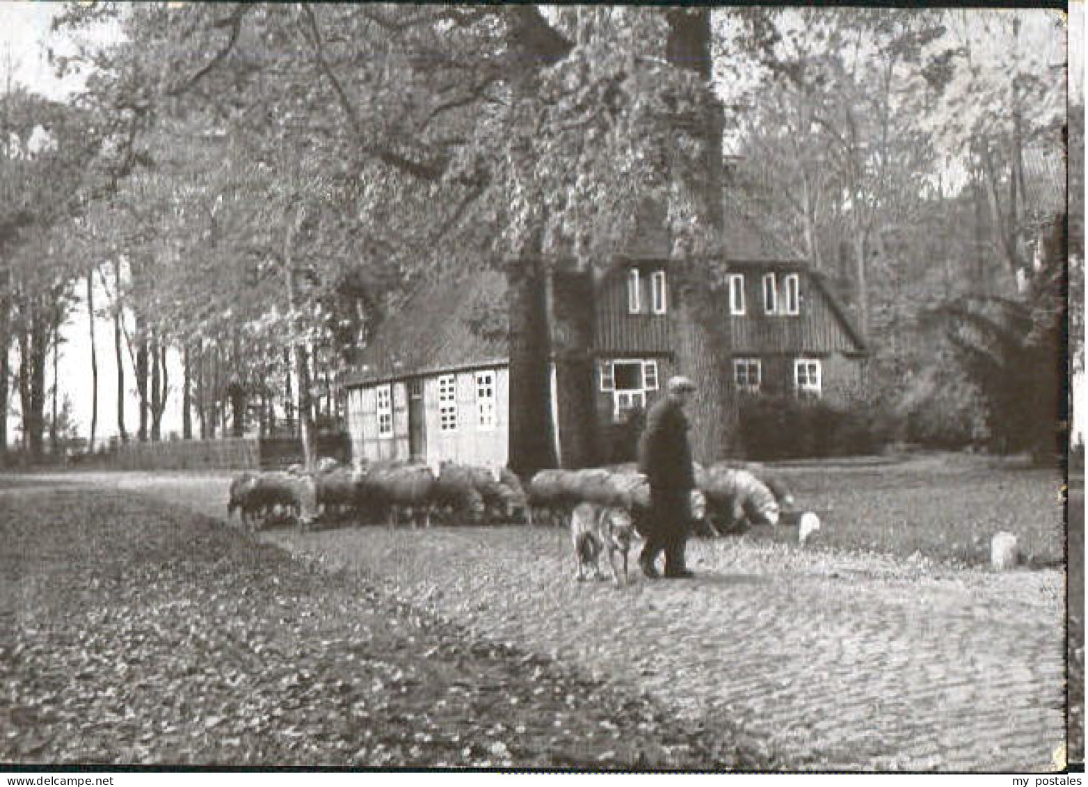 Stuebeckshorn ei Soltau