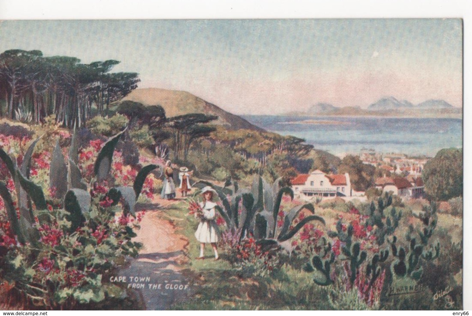 SUD AFRICA-CAPE TOWN FROM THE GLOOF