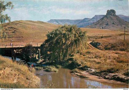 Afrique du Sud - Near Fouriesburg - Orange Free State - South Africa - CPM - Voir Scans Recto-Verso