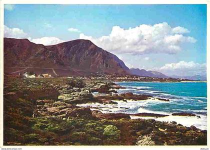 Afrique du Sud - South Africa - A well known and fishing resort - Hermanus - Cape - CPM - Voir Scans Recto-Verso