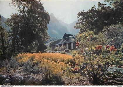 Afrique du Sud - South Africa - Cape - Kirstenbosch - Tearoom - Fleurs - CPM - Carte Neuve - Voir Scans Recto-Verso