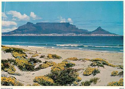 Afrique du Sud - South Africa - Cape Town - Blouberg Beach - CPM - Carte Neuve - Voir Scans Recto-Verso