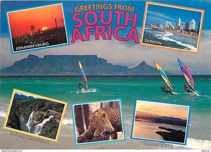 Afrique du Sud - South Africa - Multivues - CPM - Carte Neuve - Voir Scans Recto-Verso