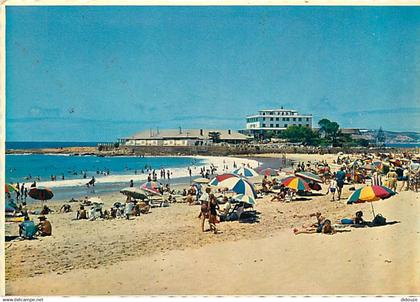 Afrique du Sud - South Africa - Plettenberg Bay - Scènes de plage - CPM - Voir Scans Recto-Verso