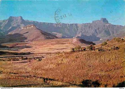 Carte Postale - Afrique du Sud - South Africa - Natal - Mont-aux-Sources, Drakensberg, the Amphitheatre - CPM - Voir Sca