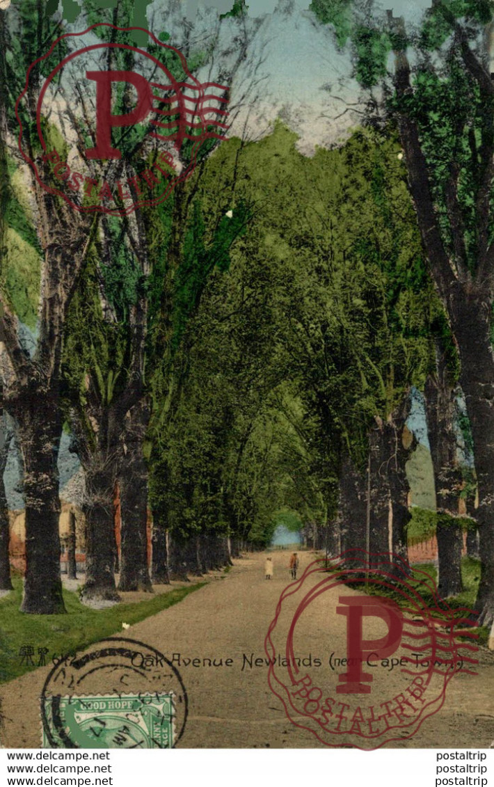 SUDAFRICA // SOUTH AFRICA - OAK AVENUE NEWLANDS (NEAR CAPETOWN)