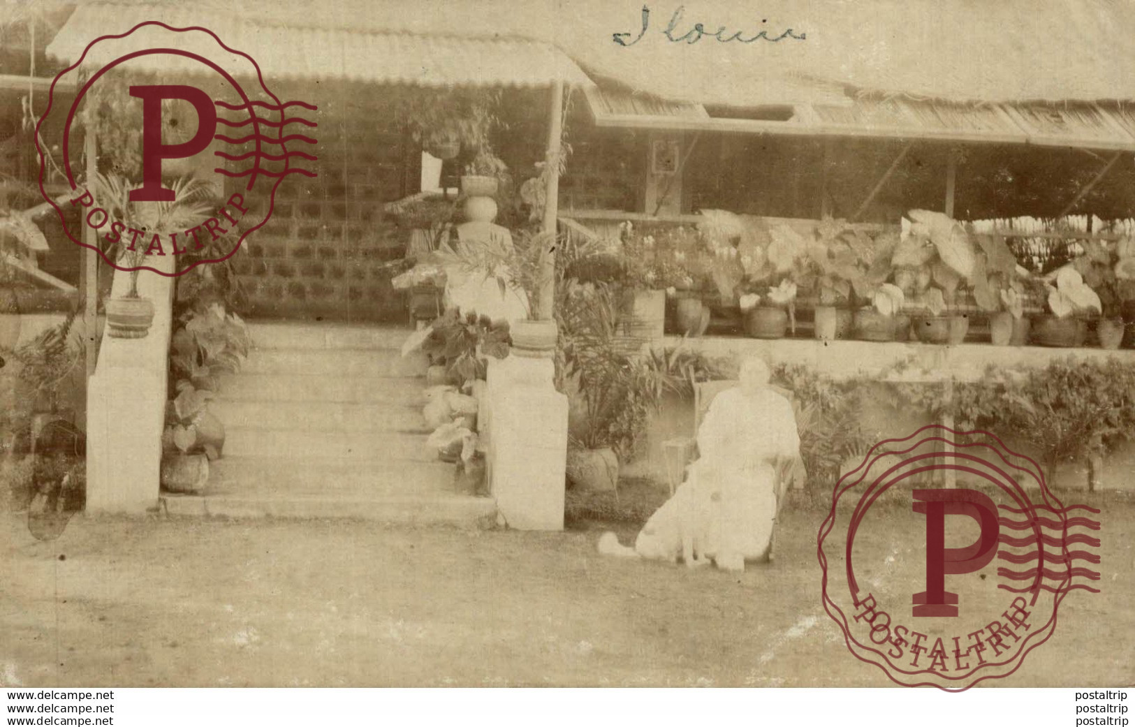 SUDAFRICA // SOUTH AFRICA. REAL PHOTO