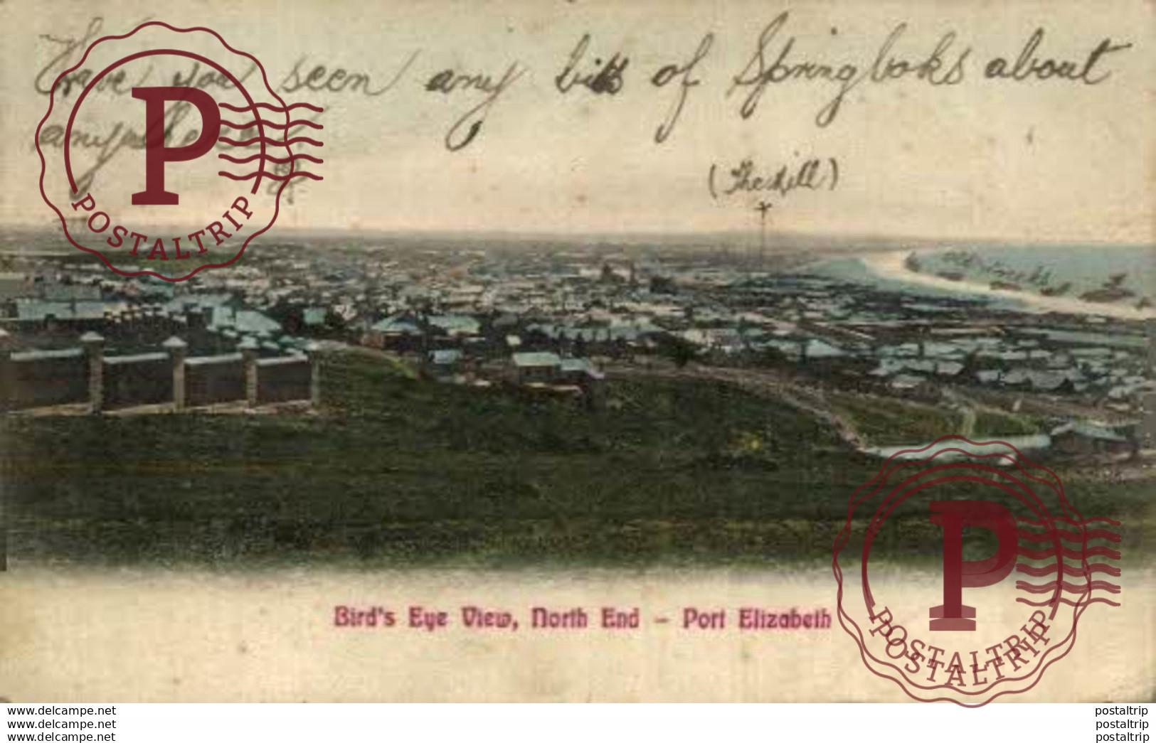 SUDAFRICA // SOUTH AFRICA - STELLENBOSCH CAPE COLONY