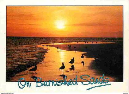 Afrique du Sud - South Africa - On burnished Sands - Coucher de Soleil - CPM - Voir Scans Recto-Verso