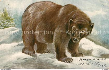 Bueren Grizzly Bear Juneau Alaska