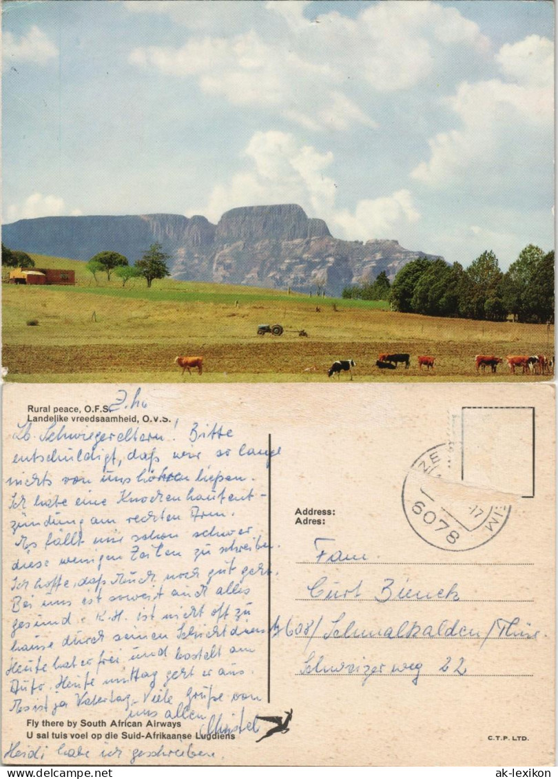 Südafrika Rural peace, O.F.S. Landelike vreedsaamheid Südafrika Landschaft 1975