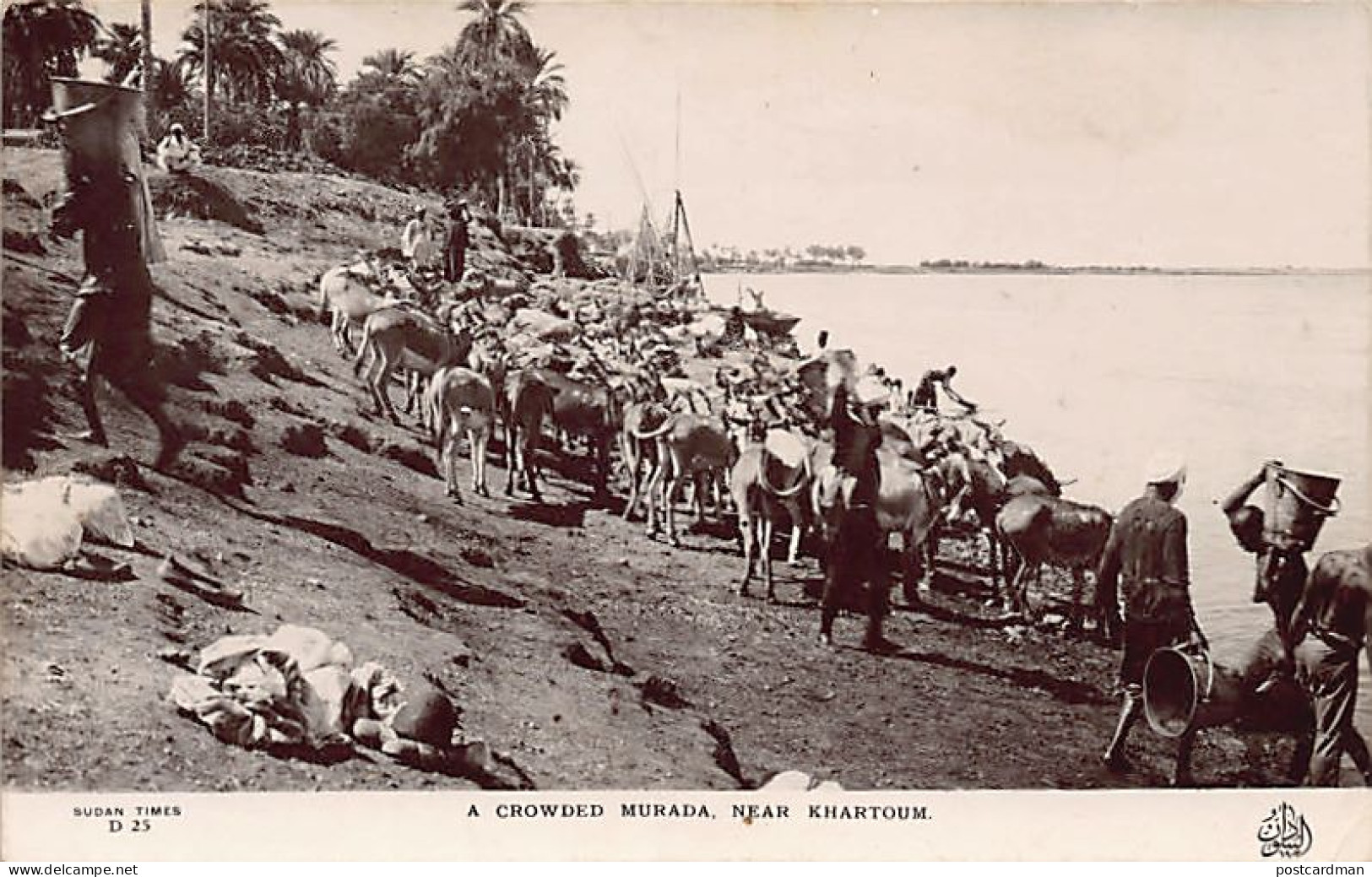 Sudan - A crowded murada near Khartoum - REAL PHOTO - Publ. Sudan Times D25