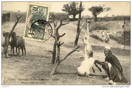 Afrique - Soudan - Boucher - Chèvre