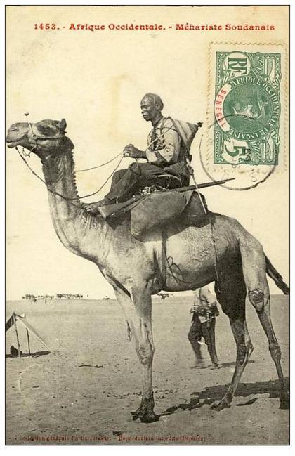 AFRIQUE - SOUDAN - Méhariste Soudanais