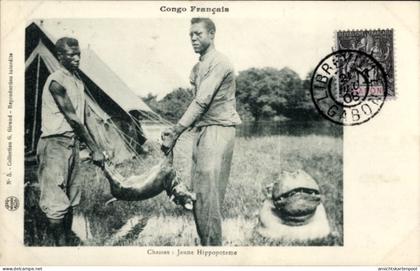CPA Französisch Kongo, gefangene junge Nilpferde