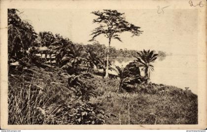 CPA Lambarene Gabun, Flusslandschaft, Palmen, Gabon