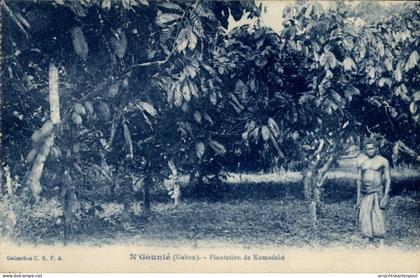 CPA N'Gounie Gabun, Komadeke Plantage