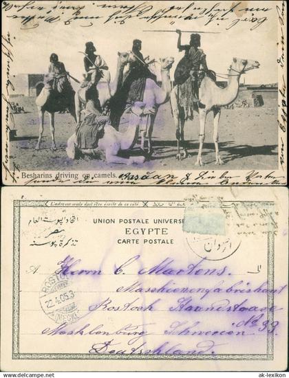 Postcard Südafrika Besharins driving on camles 1905