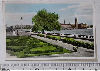I122014 Cartolina Svezia - Stockholm - Stadshustradgarden - VG 1956
