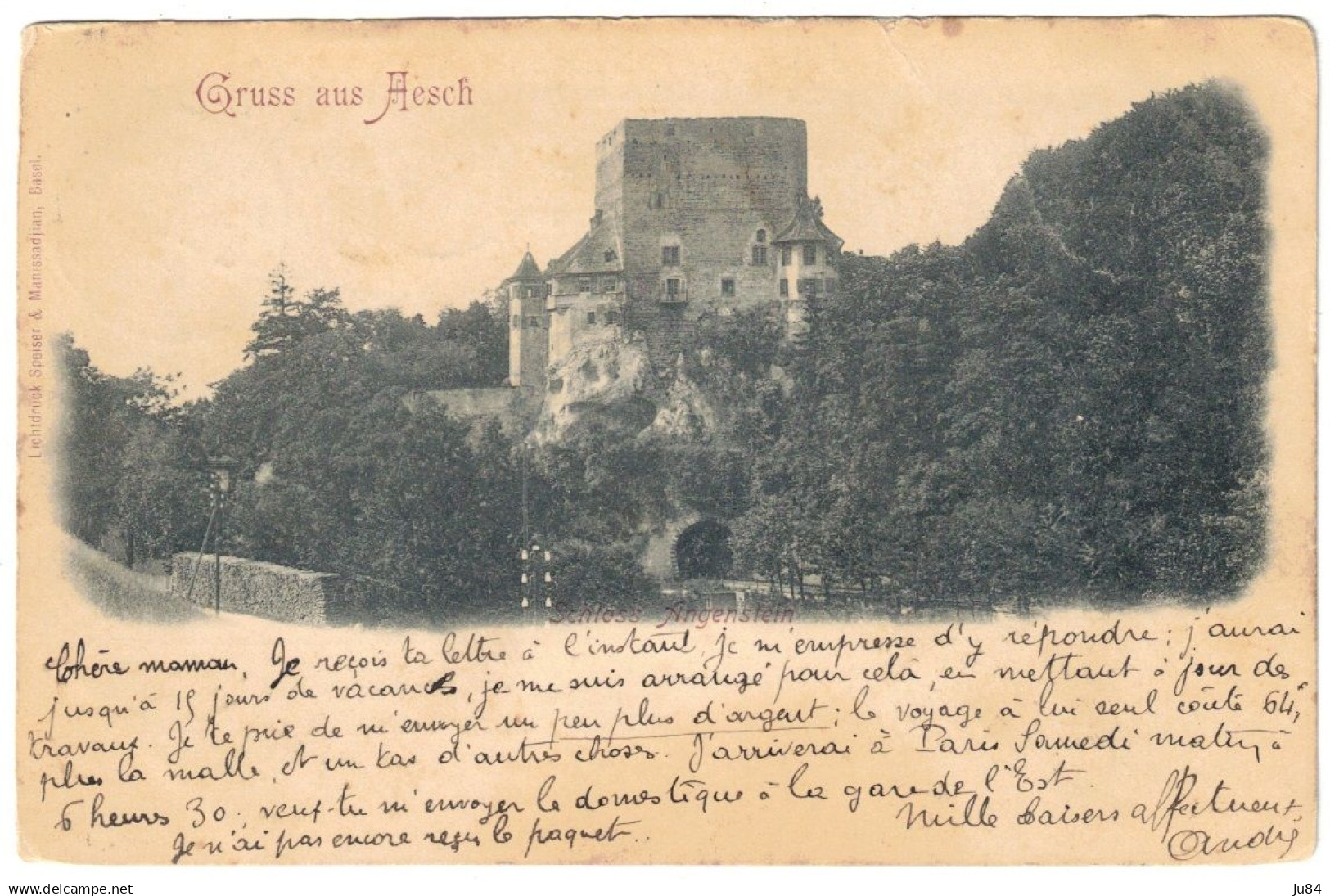 Suisse - Bâle - Aesch - Gruss aus Aesch - Ambulant n°2 - Carte Postale pour Paris - Cachet Paris étranger - 1901