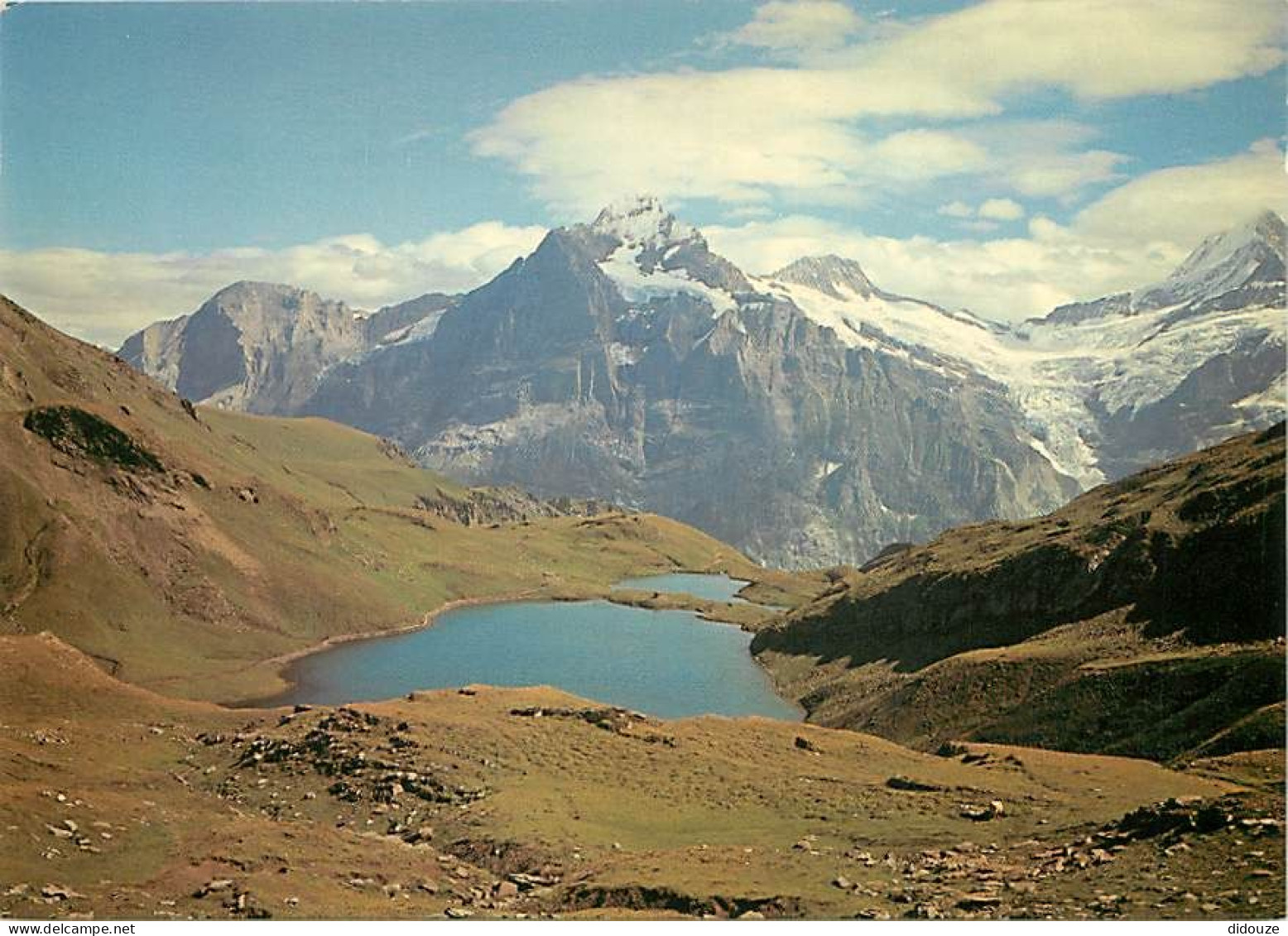 Suisse - BE Berne - Bachsee 2265 m - Lac de Montagne - CPM - Carte Neuve - Voir Scans Recto-Verso