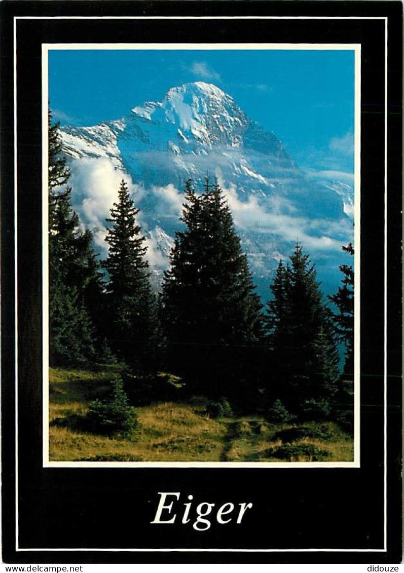Suisse - BE Berne - Grindeiwald - Eigernordwand 3970 m - CPM - Carte Neuve - Voir Scans Recto-Verso