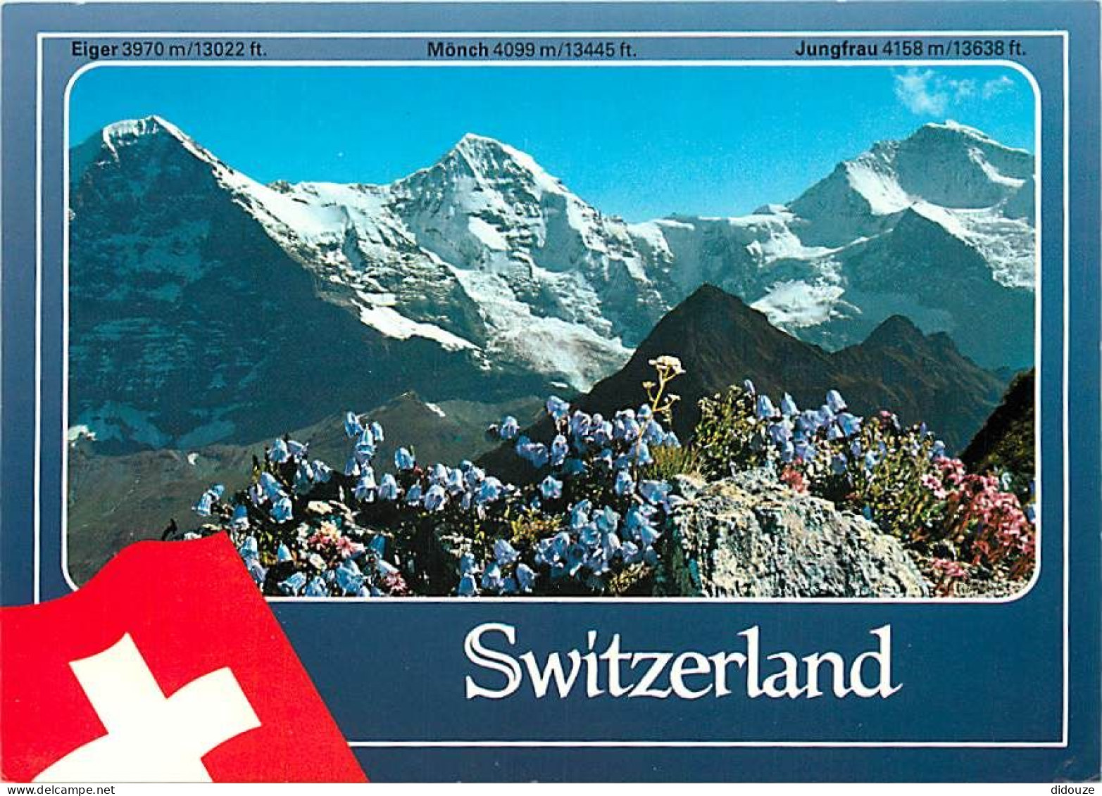 Suisse - BE Berne - Jungfrau - Eiger, Mônch, Jungfrau - Fleurs - CPM - Carte Neuve - Voir Scans Recto-Verso