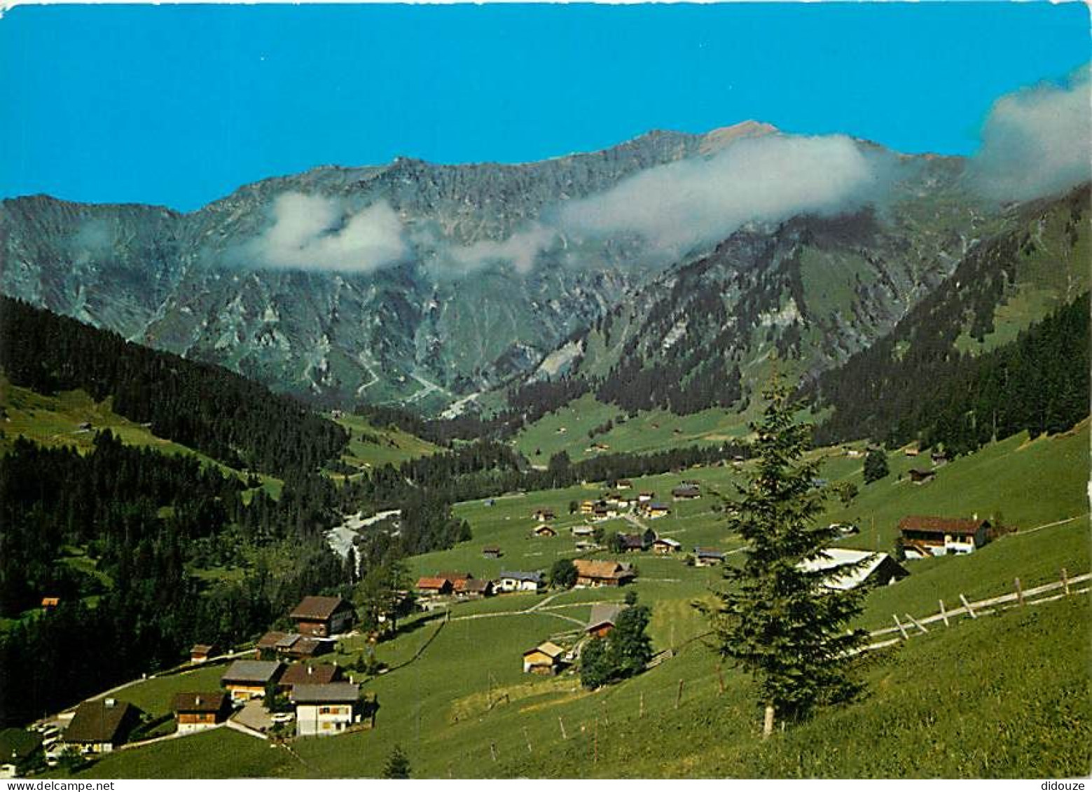 Suisse - BE Berne - Stiegelschwand bei Adelboden - Albristhorn - CPM - Carte Neuve - Voir Scans Recto-Verso