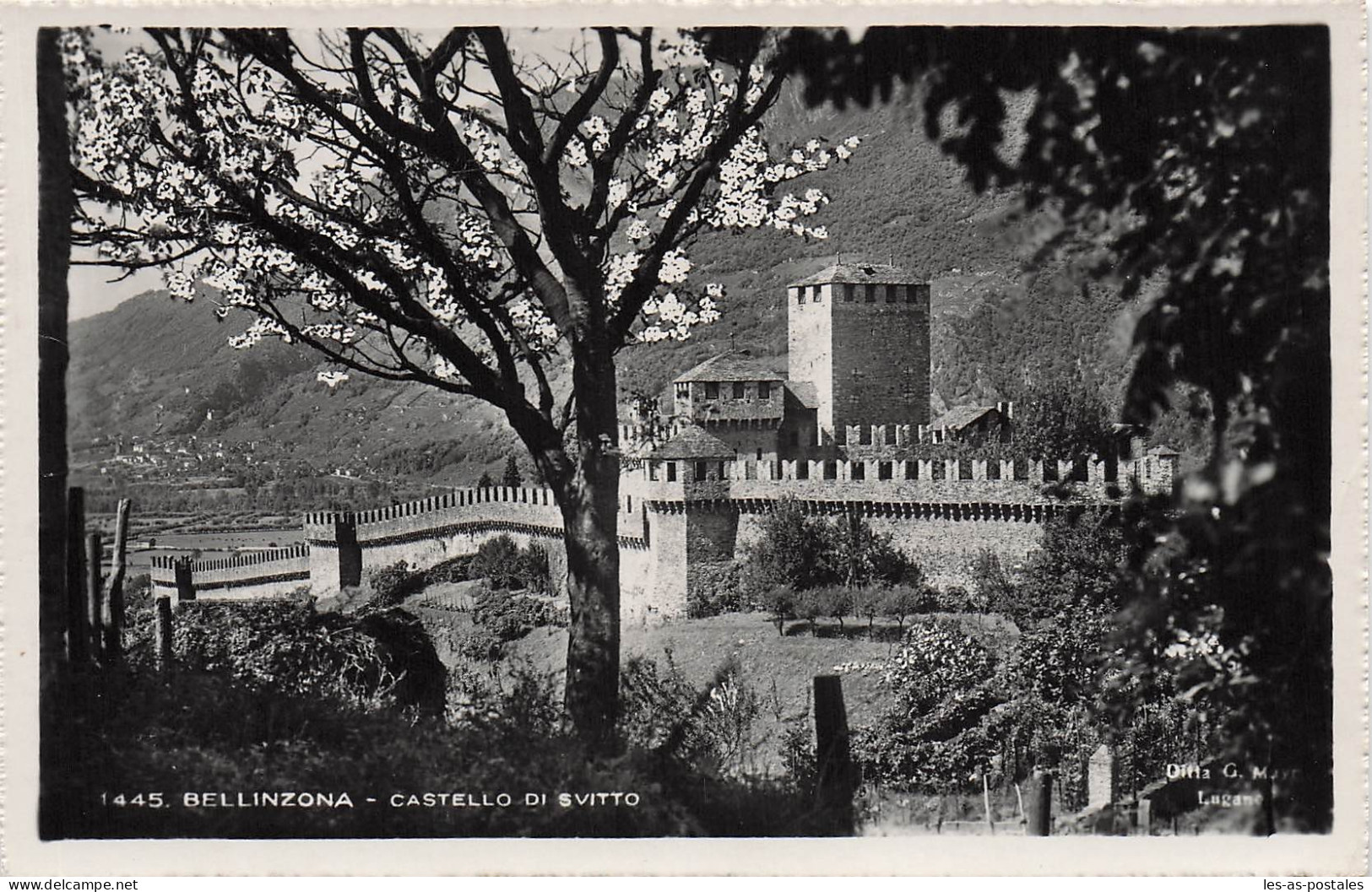 SUISSE BELLINZONE CASTELLO DI SVITTO