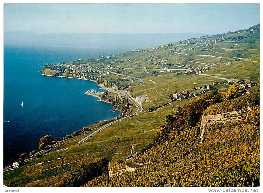 suisse -carte postale grand format - ref 136-vignobles de lavaux -lac leman -cully, grandvaux , epesses , riex -