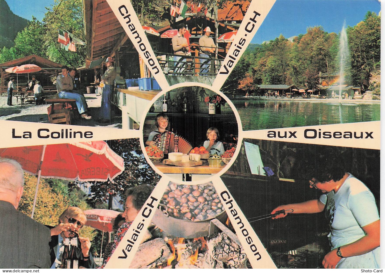 SUISSE CHAMOSON LA COLLINE AUX OISEAUX