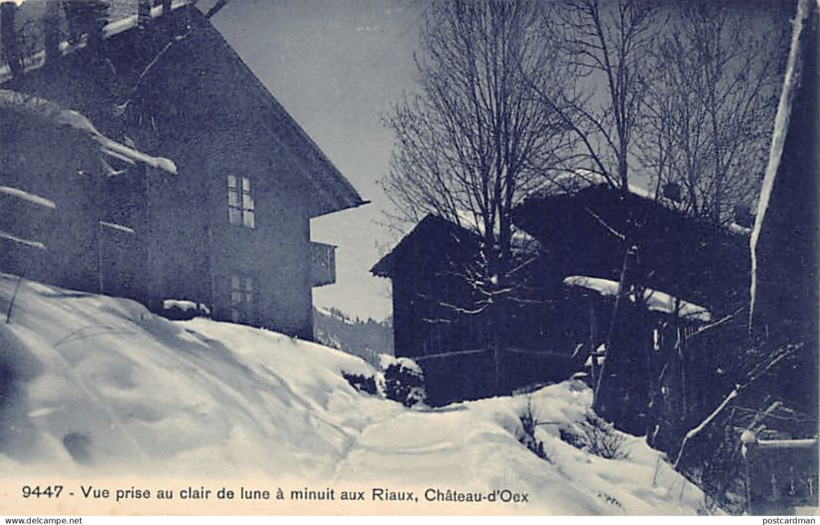 Suisse - CHÂTEAU-D'ŒX (VD) Châlet Les Riaux - Vue prise au clair de lune à minuit - Ed. Phototypie Co 9447