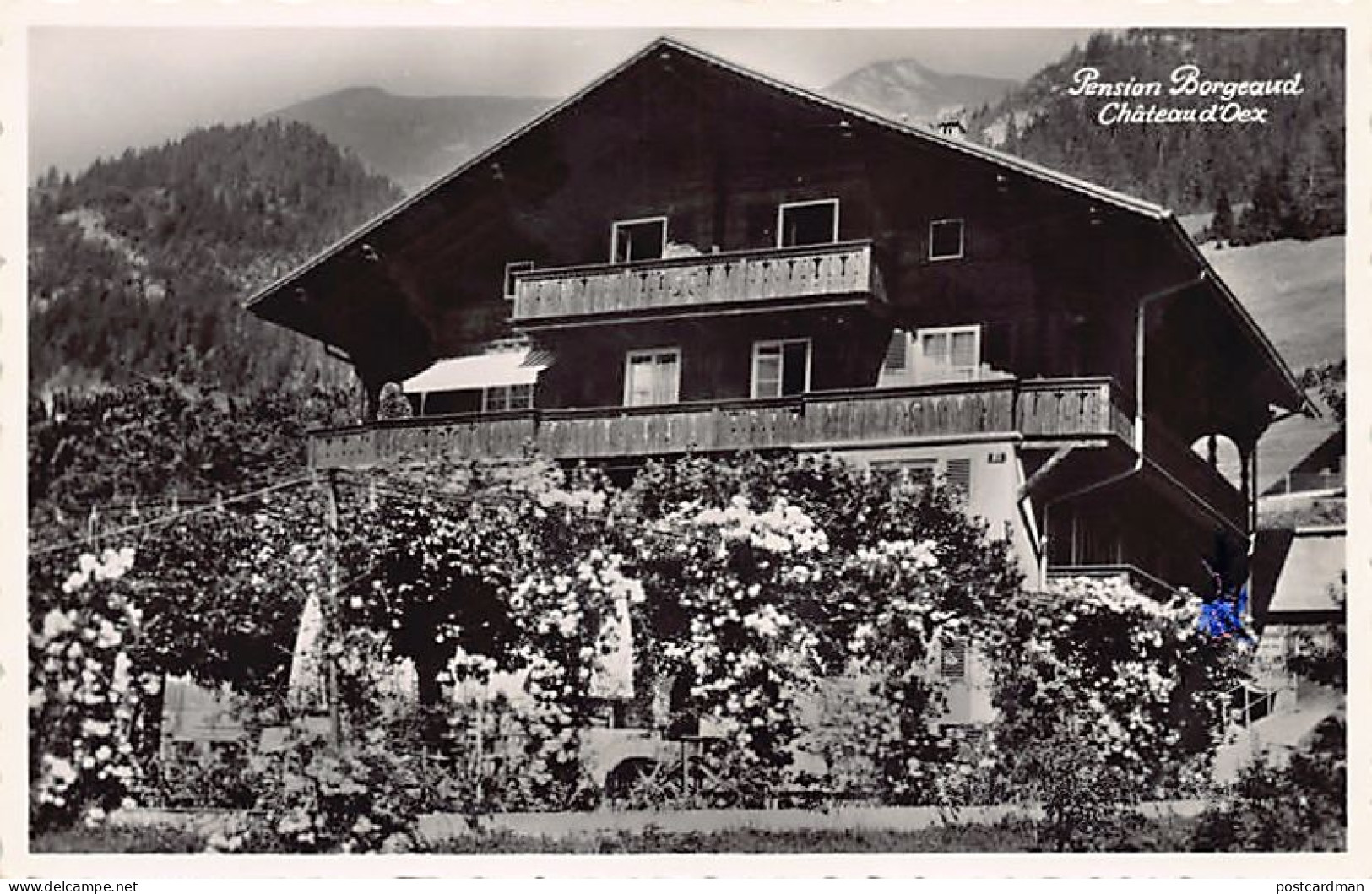Suisse - CHÂTEAU D'OEX (VD) Pension Borgeaud - Ed. Devaux