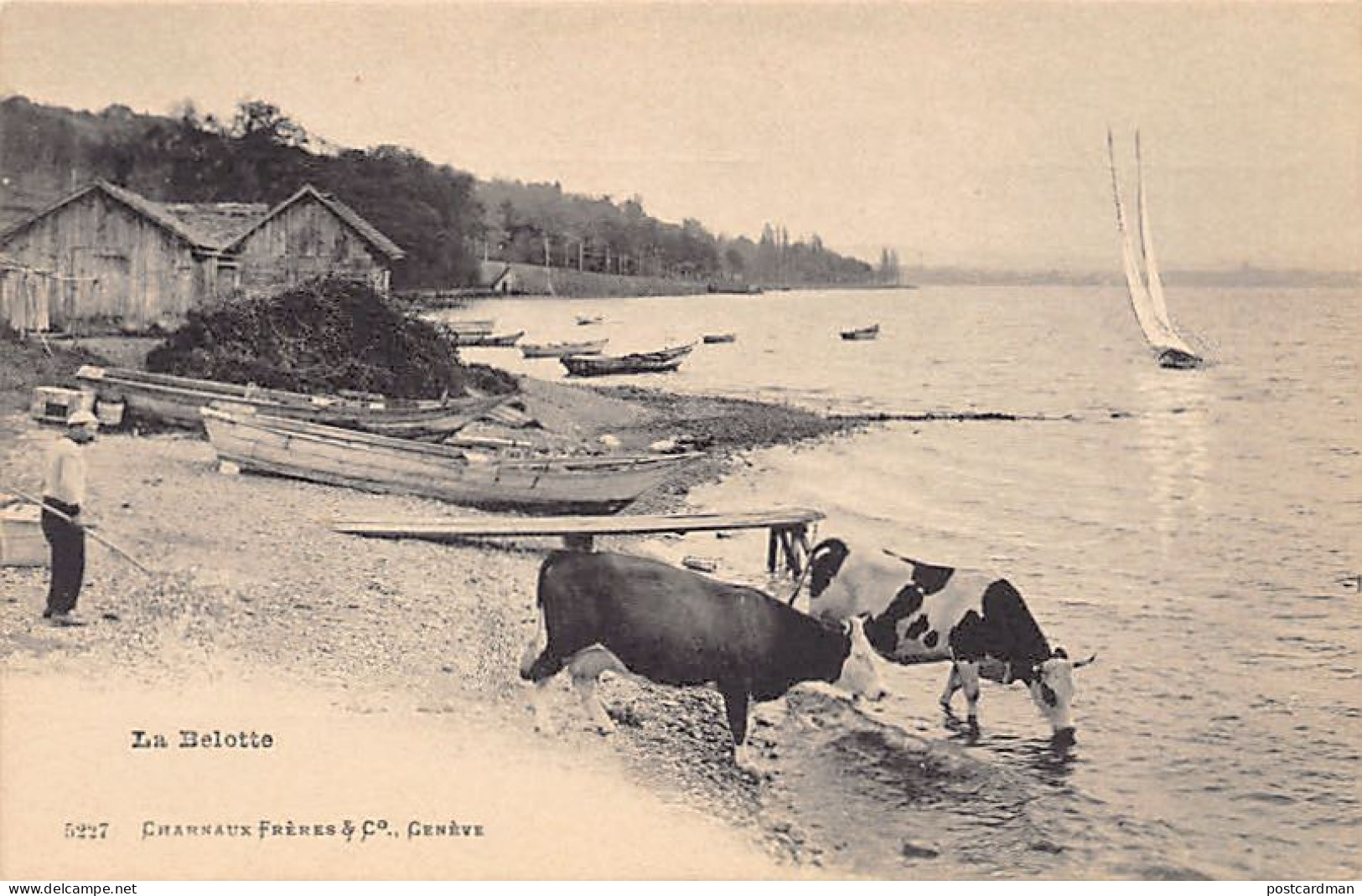 Suisse - COLOGNY (GE) La Belotte - Ed. Charnaux Frères 5227