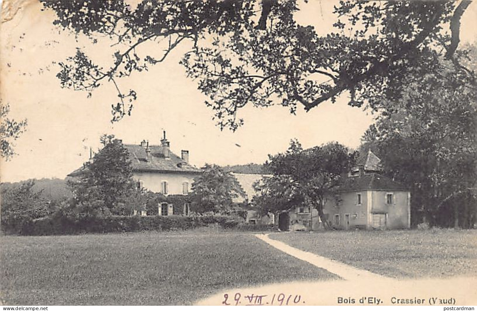 Suisse - CRASSIER (VD) Bois d'Ely - Ed. Photo des Arts.