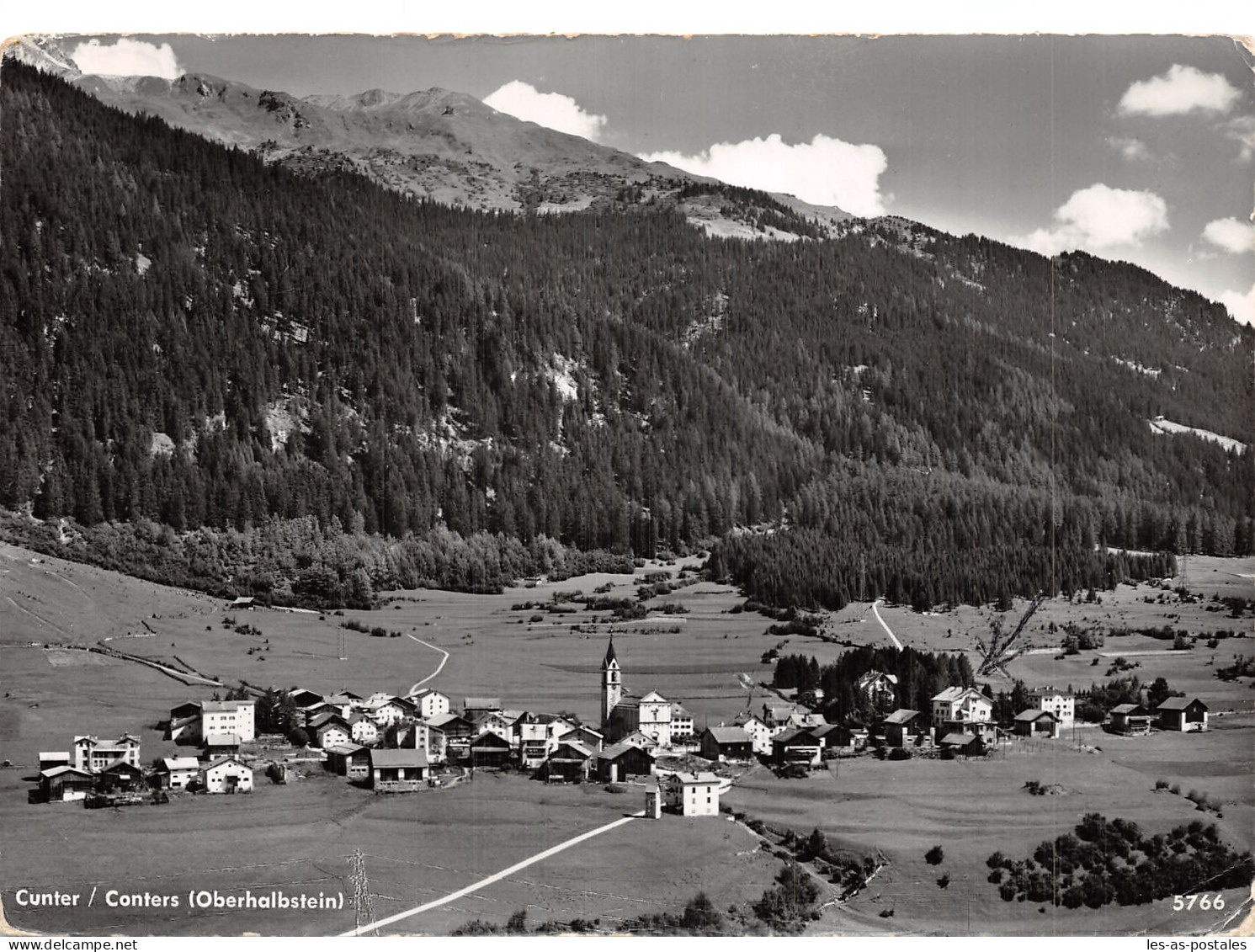 SUISSE CUNTER CONTARS