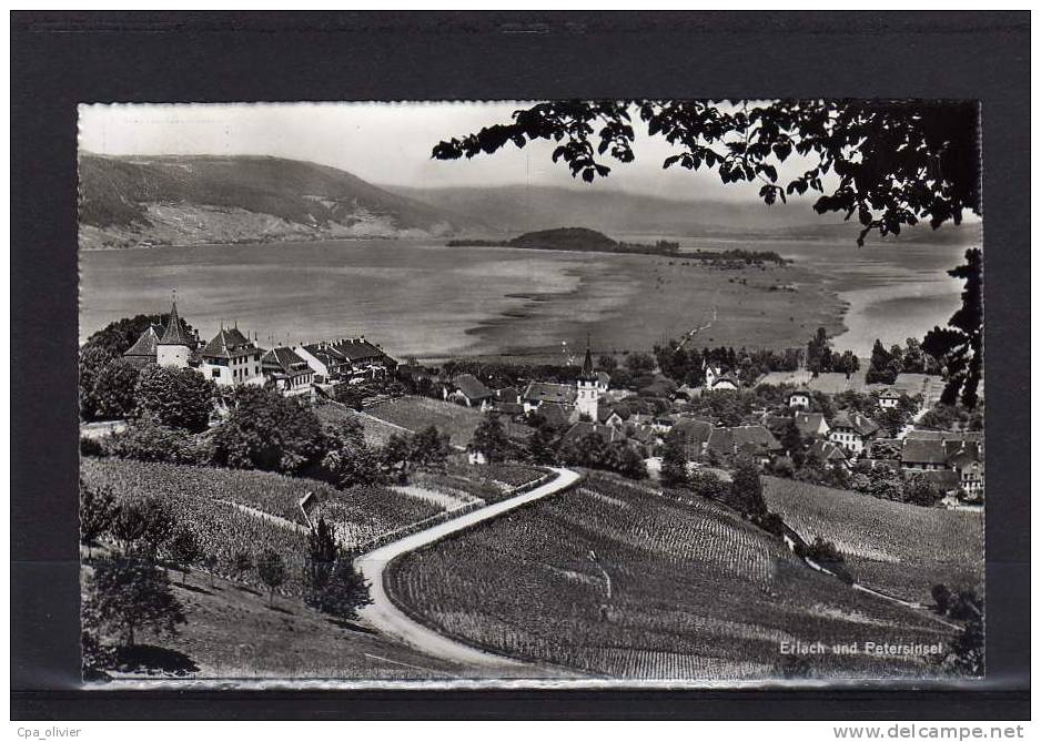 SUISSE ERLACH CERLIER Petersinsel, Ile St Pierre, Vue Générale, ed Ag 3025, 194?