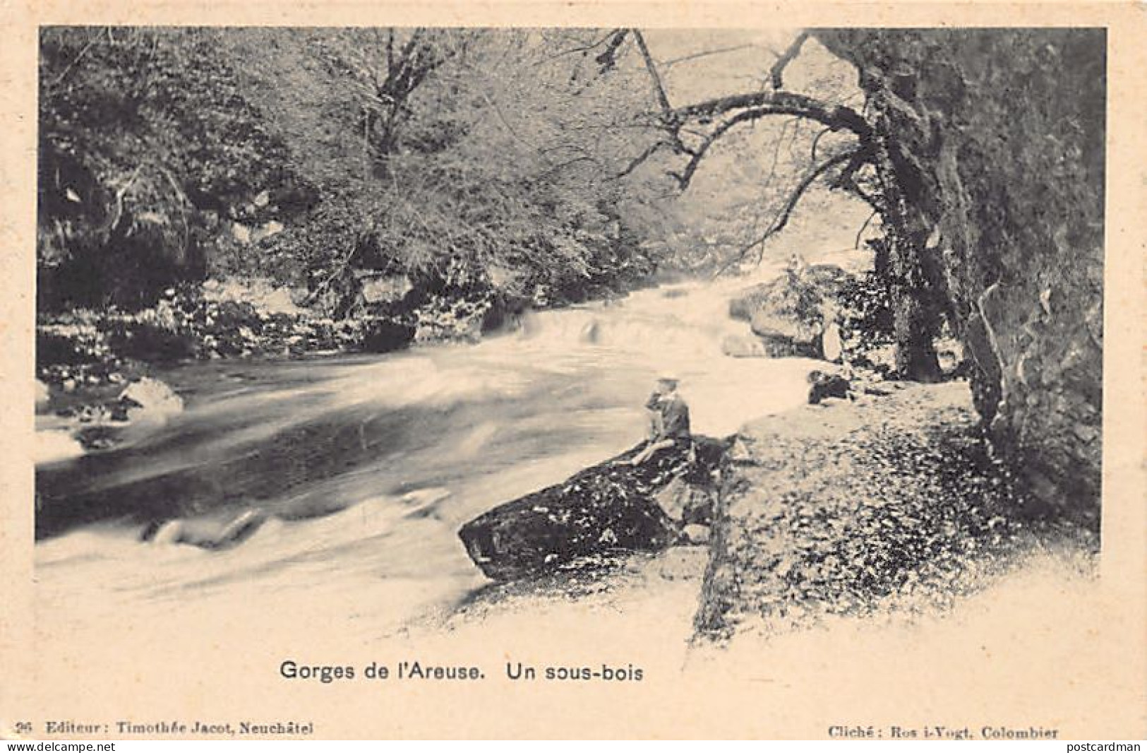 Suisse - Gorges de l'Areuse (NE) Un sous-bois - Ed. Th. Jacot 96